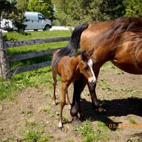 Meet your Posher, Kerry - Picture 1 of 1